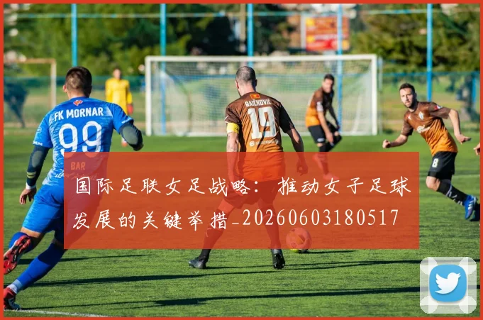 国际足联女足战略：推动女子足球发展的关键举措_20260603180517