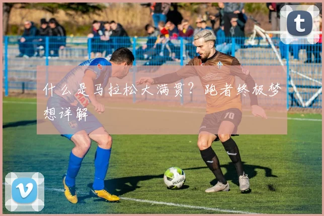 什么是马拉松大满贯?跑者终极梦想详解