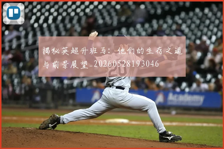 揭秘英超升班马：他们的生存之道与前景展望_20260528193046